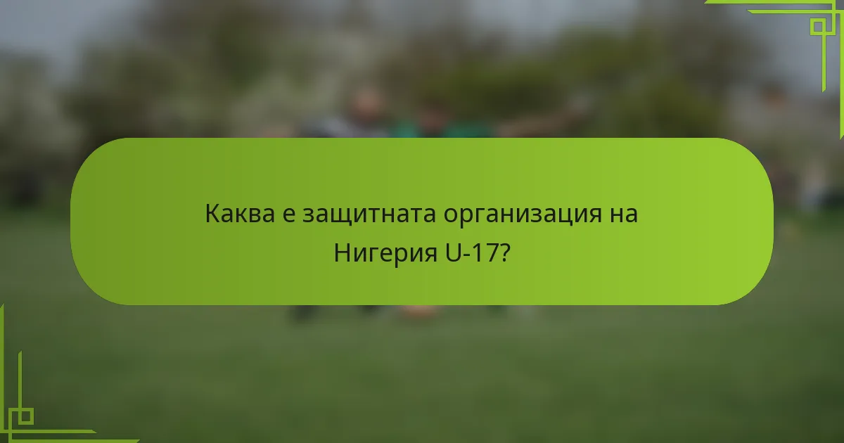 Каква е защитната организация на Нигерия U-17?